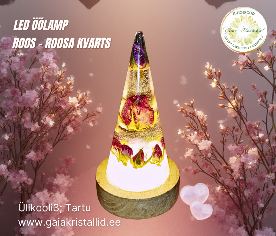 Led lamp roos (960 x 822 px).png (1.79 MB)